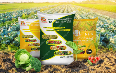 Mẫu Bao Bì Mùn Hữu Cơ Vi Sinh Đẹp