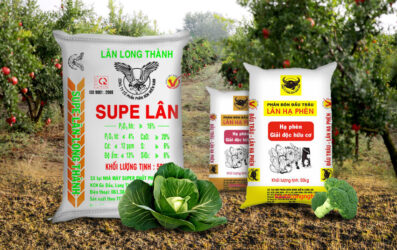 Bao Bì Phân Lân Chất Lượng