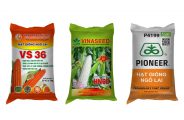 Bao Bì Hạt Bắp Giống Cao Cấp