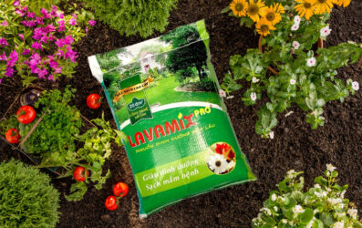 Bao Bì Đựng Đất Sạch Thiết Kế Đẹp