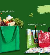 Túi Vải Không Dệt | Công Ty Cổ Phần TM & SX Bao Bì Ánh Sáng