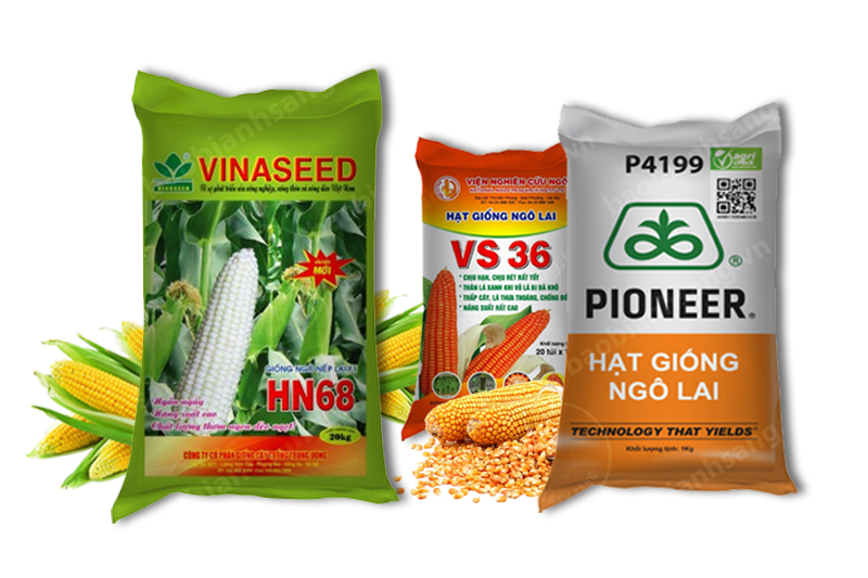 Những mẫu bao bì đựng hạt giống đẹp của Bao Bì Ánh Sáng